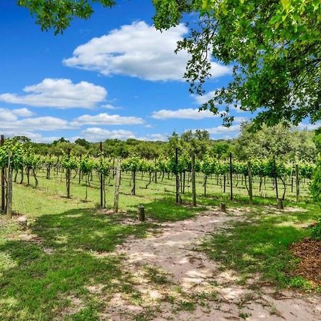 فيلا Hamilton Pool Vineyards & Farms Hammetts Crossing المظهر الخارجي الصورة