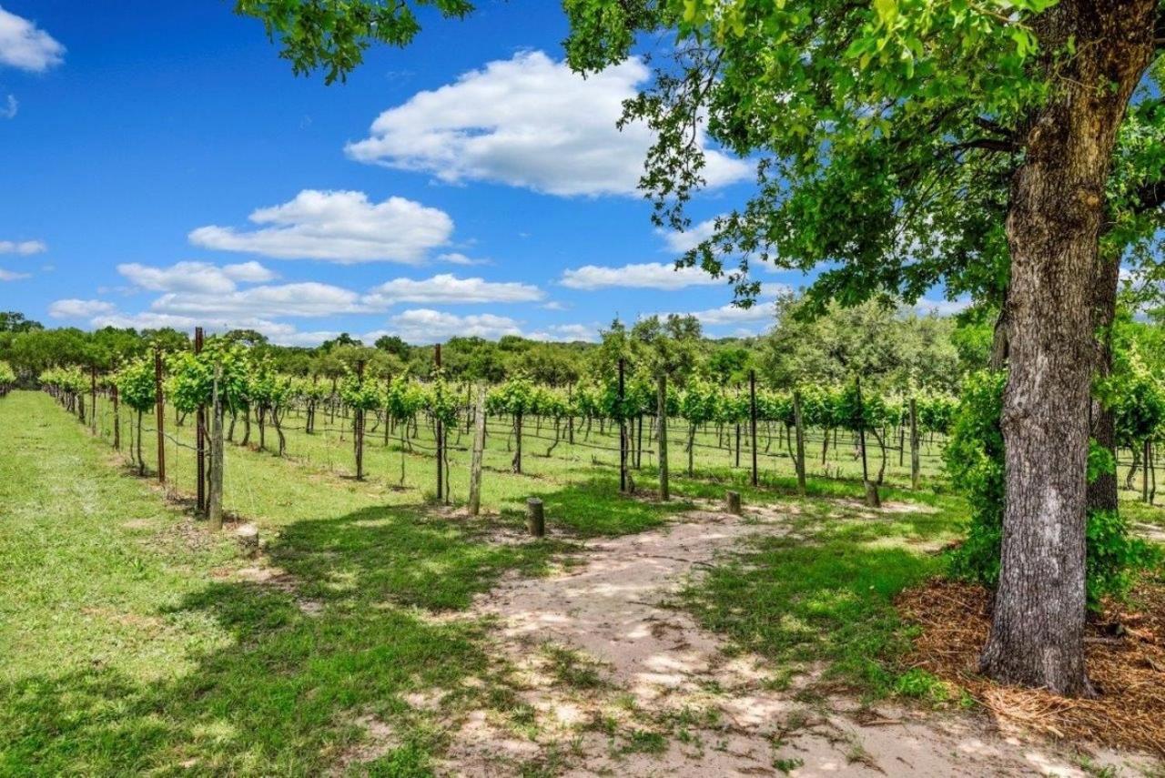 فيلا Hamilton Pool Vineyards & Farms Hammetts Crossing المظهر الخارجي الصورة